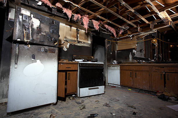 Licensed Structural Rebuild service in Utqiagvik, AK - Meridian Smoke Damage